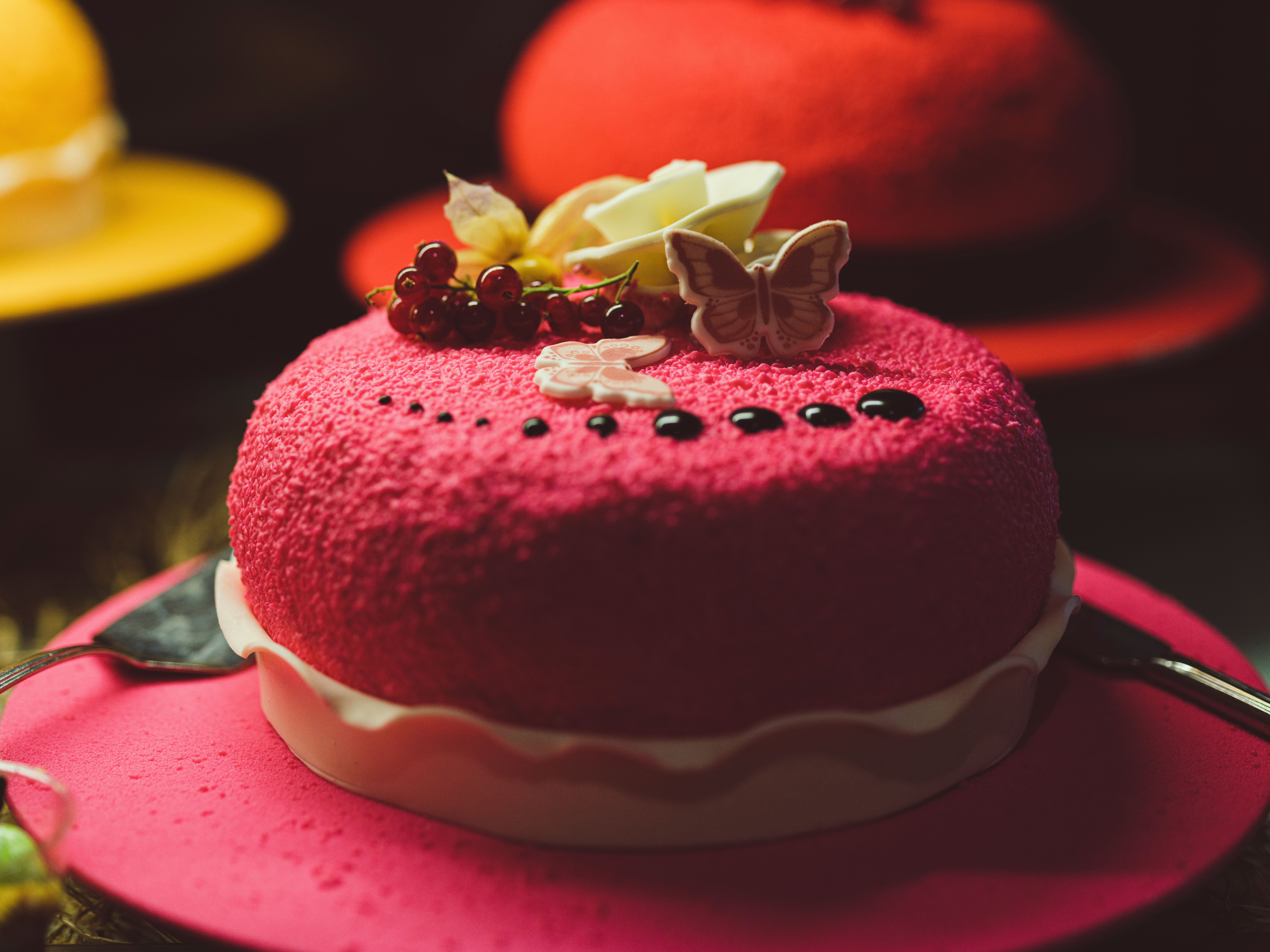 Cake shop